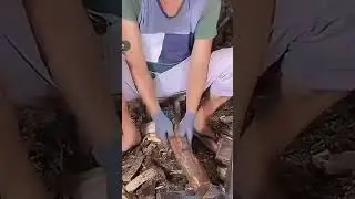 Wood Splitter 🪵 Fast Firewood Harvesting 