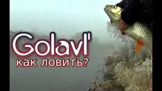 Как ловить голавля в ноябре? На что ловить голавля в ноябре?