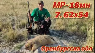 Открытие сезона по сурку байбаку в Оренбургской областиGroundhog hunting