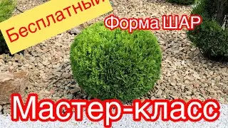 🔥БЕСПЛАТНЫЙ🔥МАСТЕР-КЛАСС форма ШАР. ТЕХНИКА СТРИЖКИ