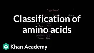 Classification of amino acids | Chemical processes | MCAT | Khan Academy