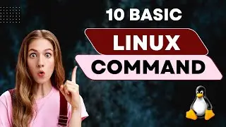 10 Basic Commands For Linux | DevOps Beginners to Advanced | S3 Cloudhub