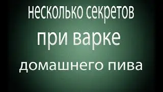 Как сделать домашнее пиво прозрачным