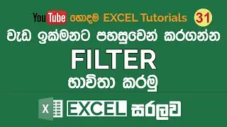 Excel Filters | MS Excel Sinhala Tutorials - 31