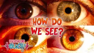 How Do We See? | Operation Ouch | Science for Kids