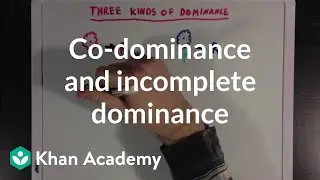 Co-dominance and Incomplete Dominance | Biomolecules | MCAT | Khan Academy