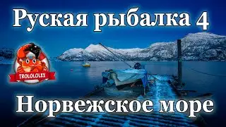 Русская рыбалка 4 Норвежское море. Рыбалка без лодки!!!