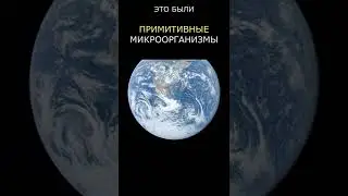 Как появилась жизнь на Земле?