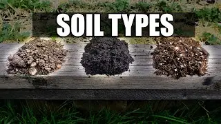 Topsoil vs Garden Soil vs Potting Soil - Garden Quickie Episode 61