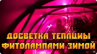 Досветка теплицы фитолампами зимой (тест #1)