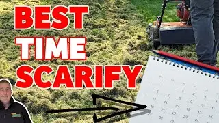 How and when should you scarify a lawn / Beginners guide