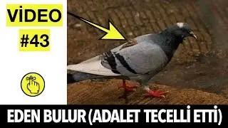 Eden Bulur Güzelim Derlerdide İnanmazdık (ADALETİN ANINDA TECELLİ ETTİĞİ 13 AN)