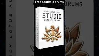 FREE STUDIO ACOUSTIC DRUM SAMPLES #shorts