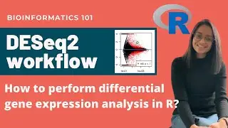 DESeq2 workflow tutorial | Differential Gene Expression Analysis | Bioinformatics 101