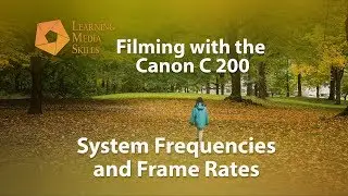 Filming with the Canon C200 - System Frequencies and Frame Rates