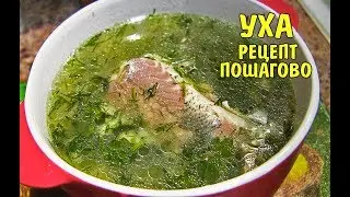 УХА Домашний рецепт вкуснейшей ухи Рецепт пошагово Fish soup