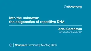 Into the unknown: the epigenetics of repetitive DNA