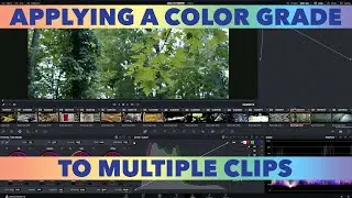 Tutorial: Applying The Same Color Grade To Multiple Clips In Resolve