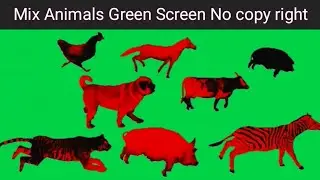 Mix Animals Green Screen Running Video |  Walking Animals | Green Background  No Copyrights|Hd Video