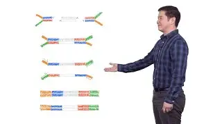 Next Generation Sequencing 2: Illumina NGS Sample Preparation - Eric Chow (UCSF)