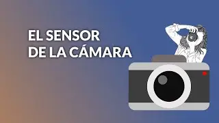 10 EL SENSOR