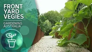 Growing vegies in style in a small space garden