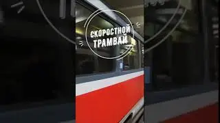 Топ 5 развлечений в Волгограде в эпоху QR кодов. Без QR кодов😂