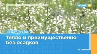 Прогноз погоды в Гродно