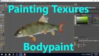 Texture Paint Fish in Body paint 3D Tutorial  - part 01