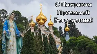 С Покровом Пресвятой Богородицы! Поздравляю с Покровом Пресвятой Богородицы! С Покровом!