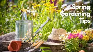 Spring Gardening Tips