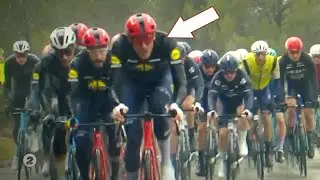 This is Why Lidl-Trek Signed Tractor Tim Declercq | Tour de la Provence 2024 Stage 1