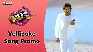 Vellipoke Song Promo  || Sai Dharam Tej, Larissa Bonesi, Mannara Chopra || Rohin Reddy, SS Thaman