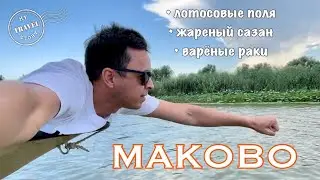 Маково. Лотос, жареный сазан, раки