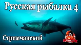 Русская рыбалка 4. Лайковый стримчанский;)