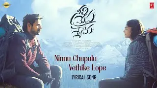 Ninnu Chupulu Vethike Lope Lyrical | NMS | Vishwadev Rachakonda, Payal Radhakrishna | Shravan B