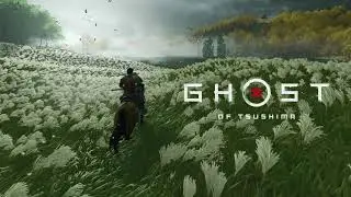 Why Ghost of Tsushima have to be this beautifull