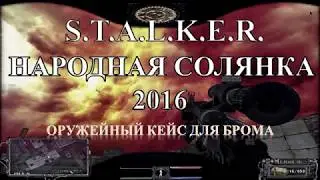 Оружейный кейс для Брома - S.T.A.L.K.E.R. Народная Солянка 2016