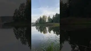 Утро, Волга, лето - скорей бы снова!!! #fishing #nature