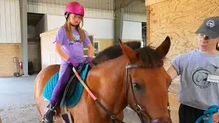 Formerly Abused Horses Are Therapy for Disabled Children