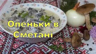 Опеньки в Сметані, Простий рецепт Опеньків, підлива з грибів,  як готувати Опеньки,  підпеньки