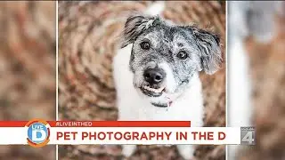 Live in the D: Professional pet photography