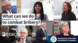 What are 3 things governments, businesses and civil society can do to combat bribery?