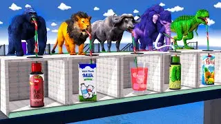 Choose the Right Mystery Drink with Elephant Mammoth Gorilla lion CowMax Level Challenge Animal Game