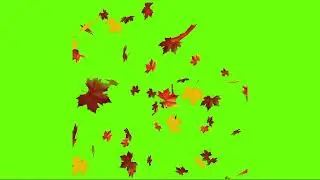 falling leaves animation after 4 effects green screen non copyright 1 video