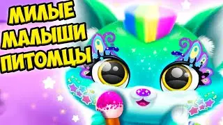 😍Пушистики милашки❤️Вкусняшки для малышей Милые питомцы Fluvsies