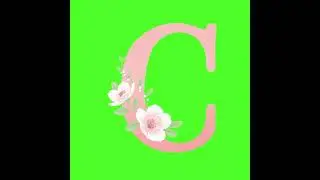 C, Alphabet C, ABCD, Green Screen Free Video, Green Screen, Chroma Key Background #greenscreen