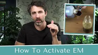 How To Activate Effective Microorganisms