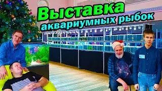 Выставка аквариумных рыбок 2023 Красивые петушки, дискусы и акваскейпы