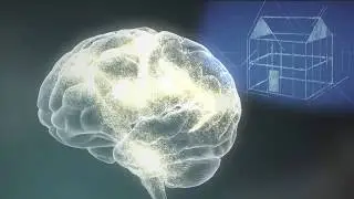 Experiences Build Brain Architecture (Japanese)